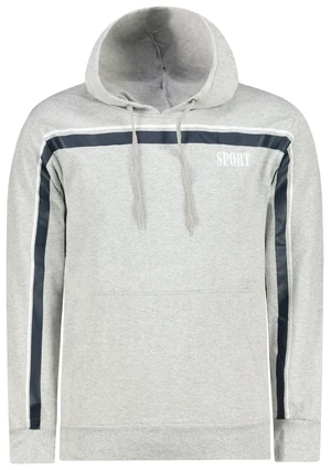 Men's hoodie Aliatic Sport