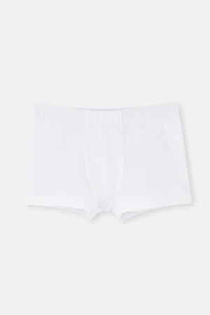 Dagi White Net Antibacterial Boxer