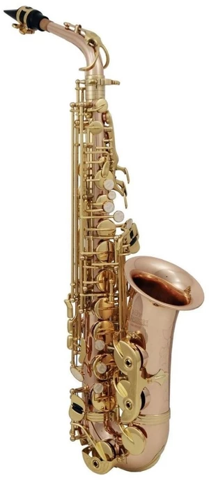 Roy Benson AS-202G Alto Saxofon