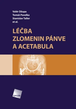 Léčba zlomenin pánve a acetabula - Valér Džupa, Tomáš Pavelka, Stanislav Taller - e-kniha