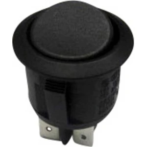 TRU COMPONENTS kolískový spínač TC-R13-244C-02 250 V/AC 10 A 2x vyp/zap  s aretáciou 1 ks