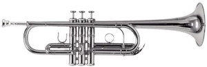 Roy Benson TR-402C Trompetă Do