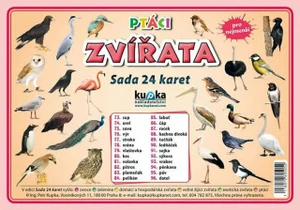 Sada 24 karet Ptáci - Petr Kupka