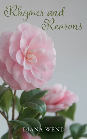 Rhymes and Reasons