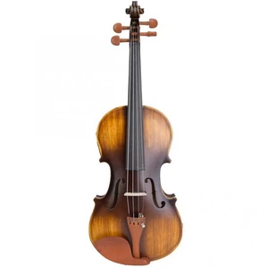 Astonvilla AV-E310 Matte Electro-Acoustic EQ Violin with Case Bow Rosin Extra Strings