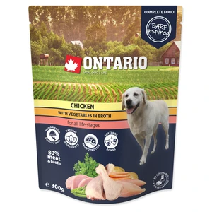 ONTARIO Kapsička kuřecí se zeleninou ve vývaru 300 g