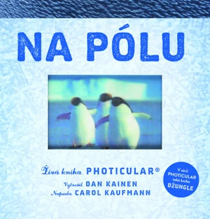 Na pólu - Dan Kainen, Kaufmann Carol