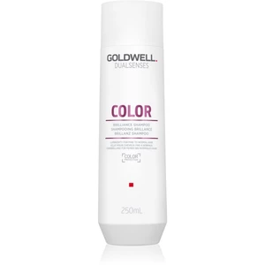 Goldwell Dualsenses Color šampon pro ochranu barvených vlasů 250 ml