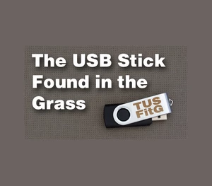 The USB Stick Found in the Grass EU Steam CD Key