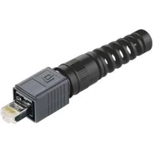 RJ45 konektor Telegärtner J80026A0016 - zástrčka, rovná RJ45 počet pólů: 8P8C, černá, 1 ks