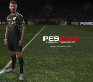 Pro Evolution Soccer 2019 - Bonus DLC EU PS4 CD Key