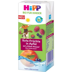 Hipp BIO jemné jablko a ovocie s neperlivou pramenitou vodou nápoj pre deti 200 ml