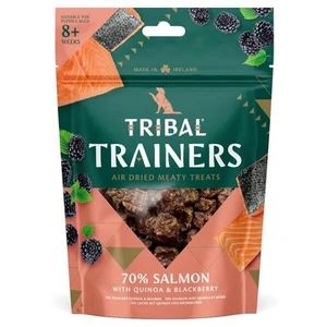 TRIBAL Trainers Snack Salmon & Blackberry pamlsky pro psy 80 g