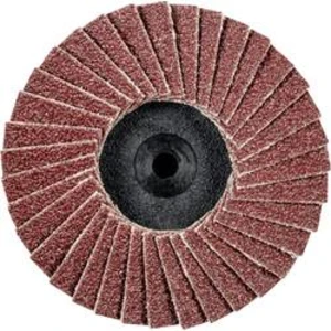 Vějířovitý brusný kotouč PFERD CDR PFF 50 A 60 47202528, Ø 50 mm/