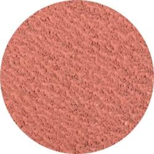 Brusný list PFERD 42772703 Zrnitost 36, (Ø) 75 mm, 50 ks