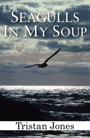 Seagulls in My Soup