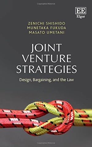 Joint Venture Strategies