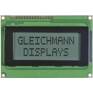 Gleichmann LCD displej  biela čierna  (š x v x h) 87 x 60 x 13.6 mm GE-C1604A-TFH-JT / R