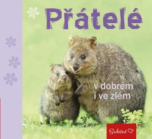 Přátelé v dobrém i ve zlém