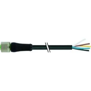 Neupravený zástrčkový konektor pro senzory - aktory Murr Elektronik 7000-P6221-P061000 10.00 m, 1 ks