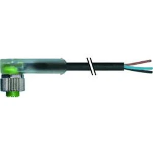 Neupravený zástrčkový konektor pro senzory - aktory Murr Elektronik 7000-12421-6140300 3.00 m, 1 ks