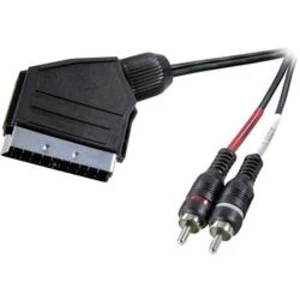 SCART / cinch audio kabel SpeaKa Professional SP-7870676, 2.00 m, černá