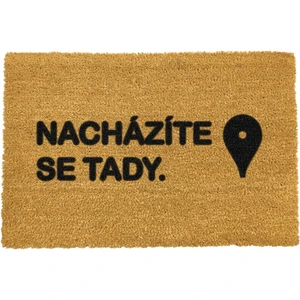 Rohožka z prírodného kokosového vlákna Artsy Doormats Tady, 40 x 60 cm
