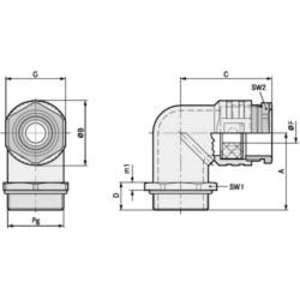 Úhlová průchodka LAPP SKINDICHT® RWV PG 16 O. E+D 52024000 litina, délka závitu 11 mm, přírodní, 10 ks