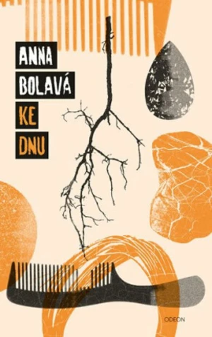 Ke dnu - Anna Bolavá