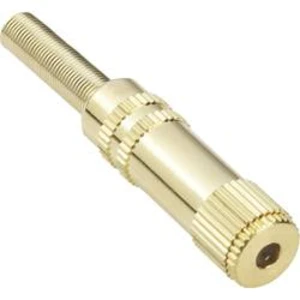 Jack konektor 3.5 mm TRU COMPONENTS TC-2517035 zásuvka, rovná, pólů 4, stříbrná, 100 ks, stereo