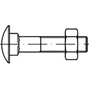 TOOLCRAFT  TO-6855726 skrutky s plochou guľatou hlavou M5 16 mm  DIN 603   ocel pozinkované 100 ks