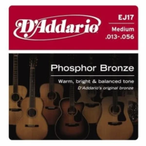 D'addario Ej17