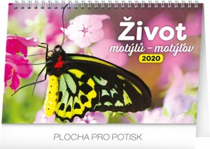Stolní kalendář Život motýlů – motýlov 2020 (Defekt)