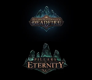 Pillars of Eternity Collection Bundle (Obsidian) Steam CD Key