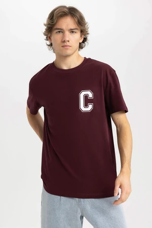DEFACTO Regular Fit Crew Neck T-Shirt