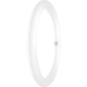LED OSRAM 230 V, G10q, 20 W = 32 W, denní bílá tvar kruhu 1 ks