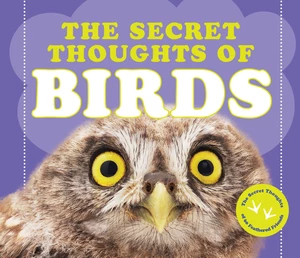 The Secret Thoughts of Birds