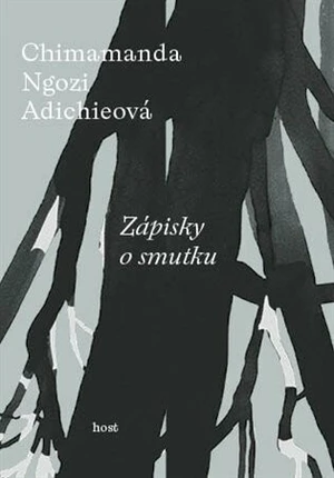 Zápisky o smutku - Chimamanda Ngozi Adichieová