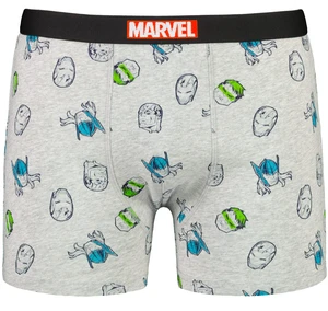 Men's boxer Marvel Avengers - Frogies