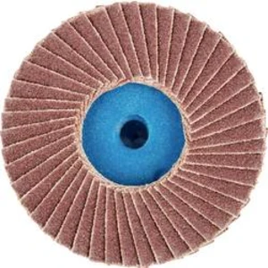Vějířovitý brusný kotouč PFERD CD PFF 50 A 120 42719112, Ø 50 mm/
