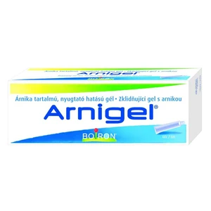 BOIRON Arnigel gel 45 g