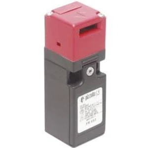 Bezpečnostní spínač Pizzato Elettrica FR 993-M2, 250 V/AC, 6 A, šroubovací