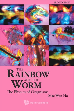 Rainbow And The Worm, The