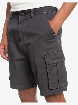 Pantaloncini da uomo Quiksilver