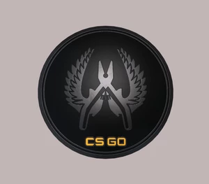 CS:GO - Series 1 - Guardian Elite Collectible Pin