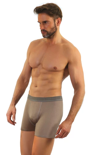 Sesto Senso Man's Boxer Shorts Cougar