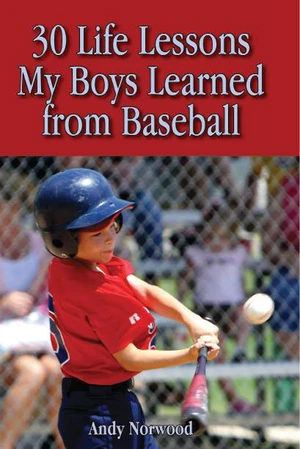 30 Life Lessons My Boys Learned from Baseball