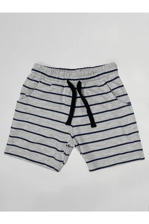 Denokids Basic Boys' Striped Gray Shorts