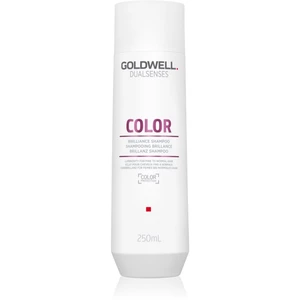Goldwell Dualsenses Color šampón pre ochranu farbených vlasov 250 ml