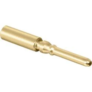 Kontaktní pin Intercontec 61.010.11, kolík kontaktu 1 ks